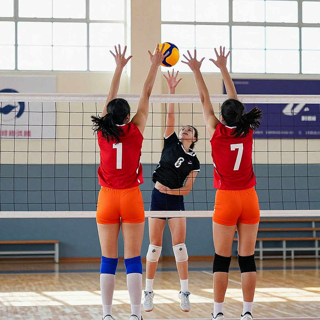 Hào quang và khoảng lặng: Hành trình vàng của Serbia qua lăng kính chiến thuật và cảm xúc