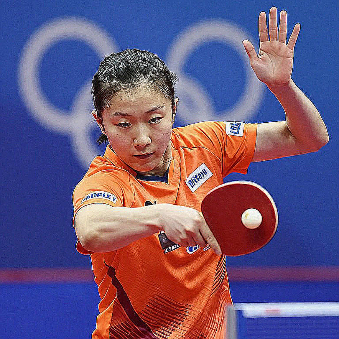 ITTF World Hopes Week 2026 trở lại Sheffield: Nước Anh gieo mầm ở tầng đáy bóng bàn thế giới